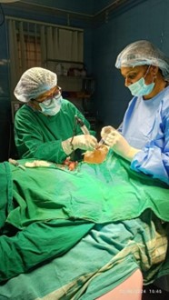 Surgery